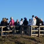 cambria2012CN_0043 (November 03, 2012)